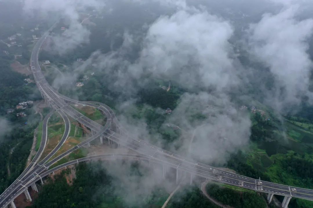 致富养殖麂子视频_养殖麂子致富_麂子养殖前景