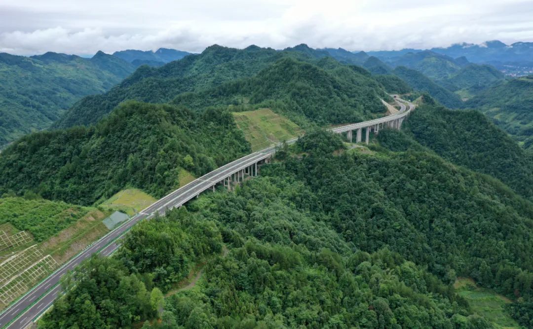 麂子养殖前景_致富养殖麂子视频_养殖麂子致富