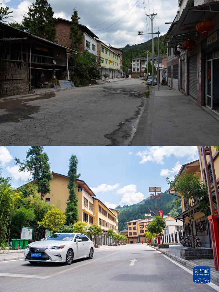 养鸡致富经_养走地鸡利润_养殖跑地鸡走上致富路