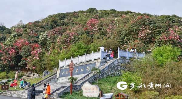 打好“资源牌” 念好“致富经” 贵州发展旅游经济助脱贫