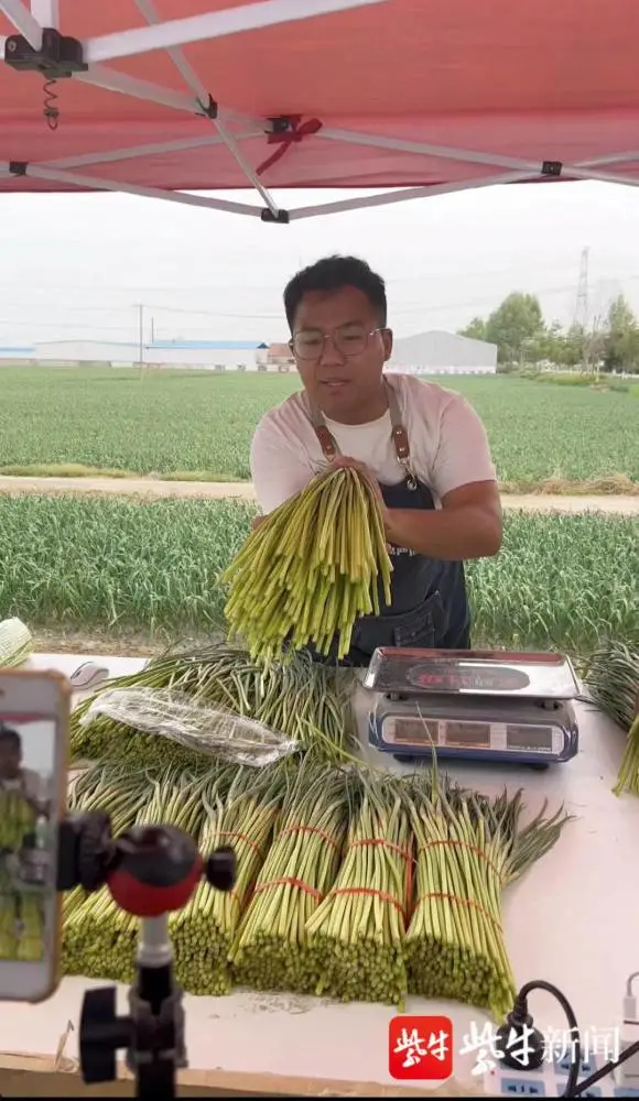 农村种植致富故事_农村种植致富案例_农村致富故事成功