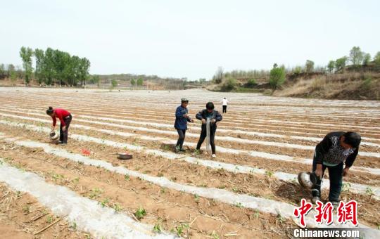 种植致富经_致富经种植亩收入过亿_沁县种植致富