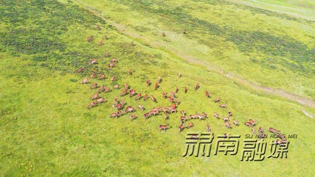 养殖业致富项目_养殖致富之路_养殖产业增收致富路