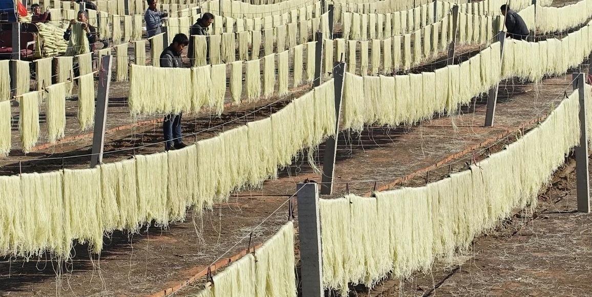 种植什么最快致富_致富种植创业项目_致富种植视频全集