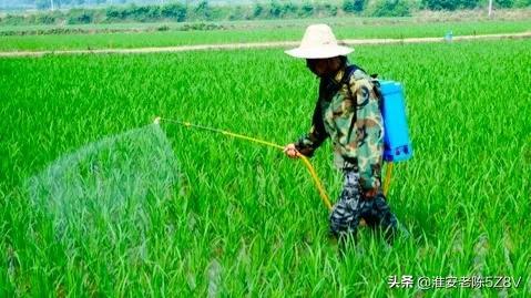 养殖小龙虾技术视频_养殖龙虾视频大全_龙虾怎样养殖视频播放