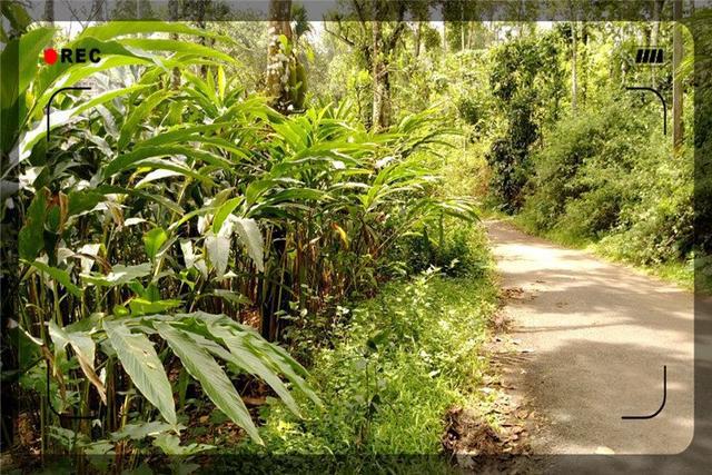 当前农村的几大致富门路，不想打工的农民可以看看，很有发展前景