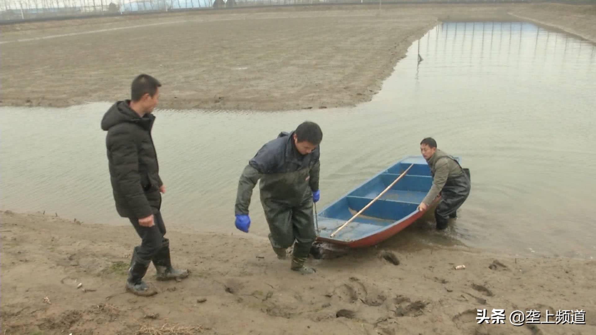 养殖龙虾视频大全_养殖小龙虾技术视频_视频龙虾养殖技术小知识