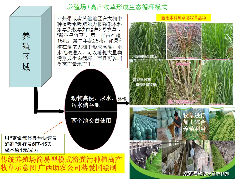 种植牧草养牛有利润吗_种植牧草养牛致富_致富种植牧草养牛好吗