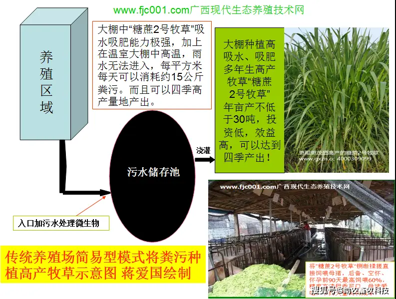 种植牧草养牛致富_种植牧草养牛有利润吗_致富种植牧草养牛好吗