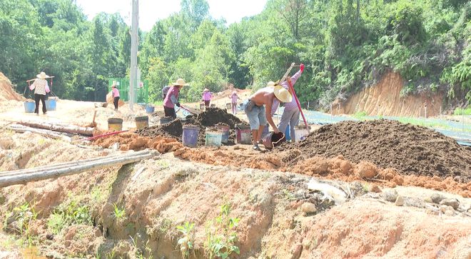 养殖地龙赚钱吗_生态地龙养殖致富_地龙养殖投入与收益