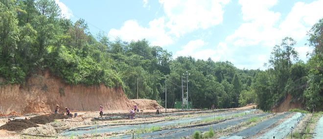 养殖地龙赚钱吗_生态地龙养殖致富_地龙养殖投入与收益