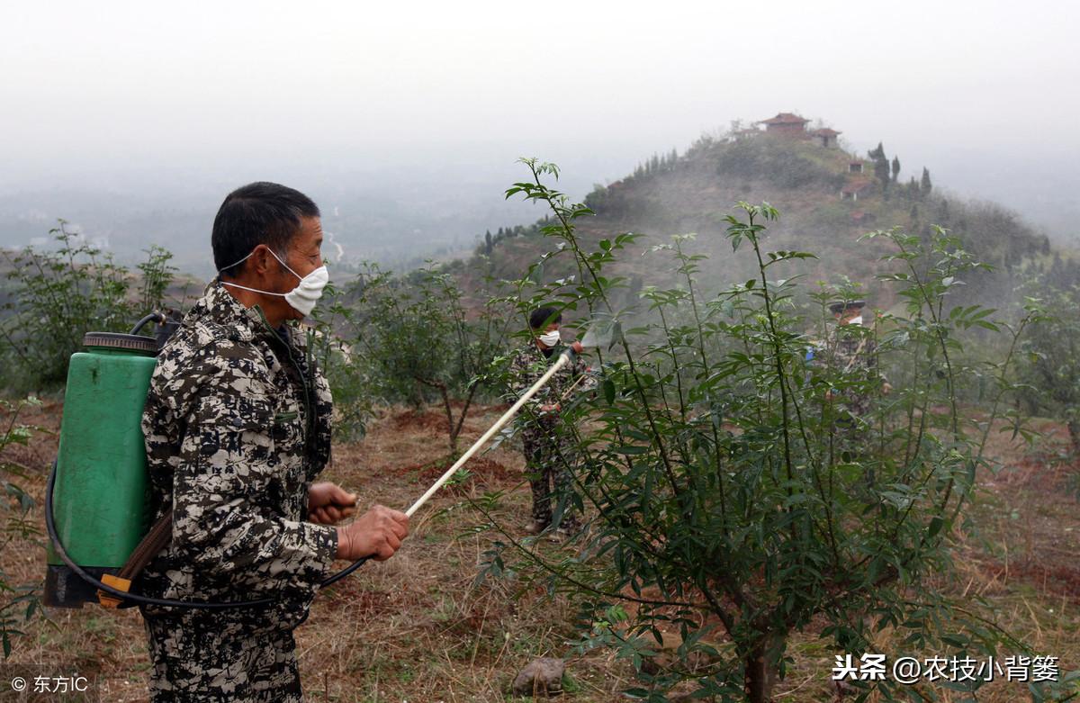 养殖种植技术培训_养殖种植技术培训会开班式讲话_养殖种植的技术