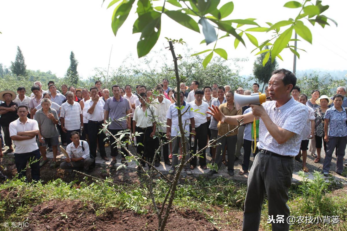 养殖种植技术培训会开班式讲话_养殖种植的技术_养殖种植技术培训