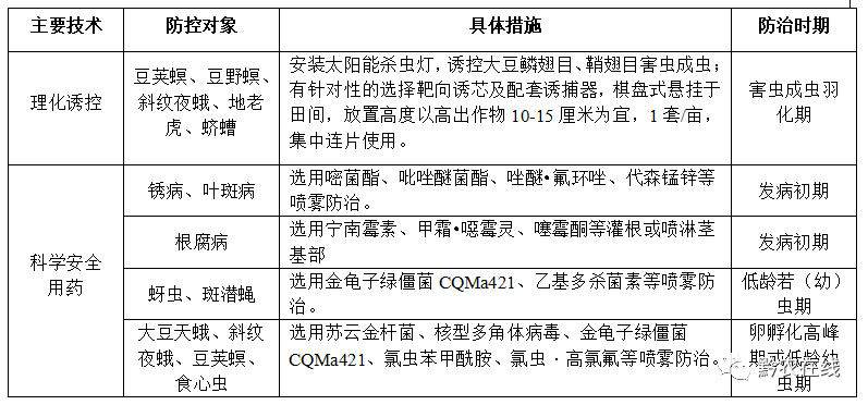 大豆的种植技术时间_种植大豆技术时间多长_种植大豆技术时间多久