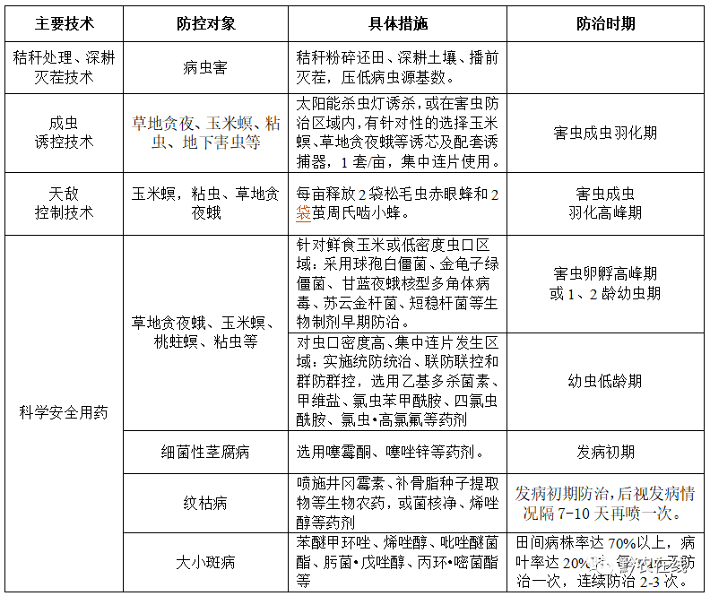 种植大豆技术时间多长_大豆的种植技术时间_种植大豆技术时间多久