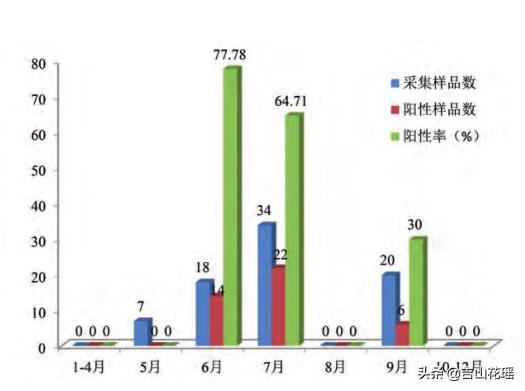 海南养殖石斑鱼技术_海南养石斑鱼是不是传销_海南石斑鱼苗