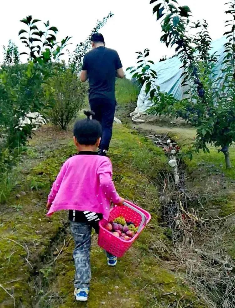 致富种植园小果子图片_致富小果园种植_致富创业网搞种植水果