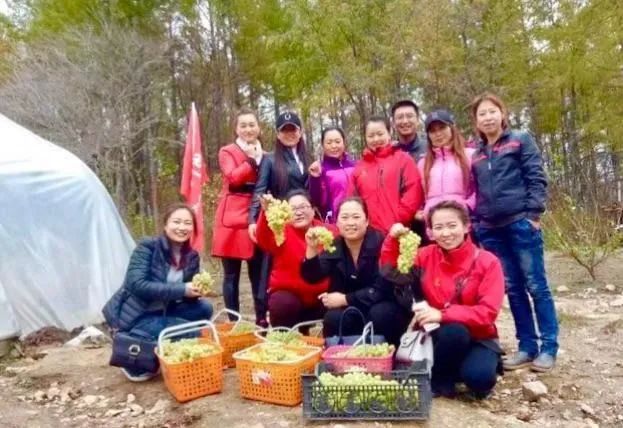 致富种植园小果子图片_致富小果园种植_致富创业网搞种植水果