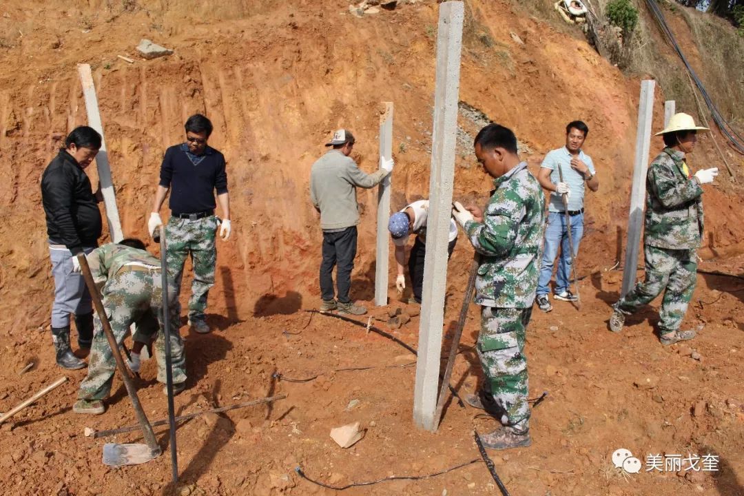 致富小果园种植_致富种植园小果子图片_致富经果树种植视频