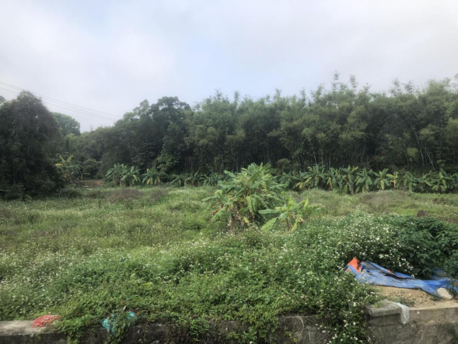 致富经果树种植视频_致富创业网搞种植水果_致富小果园种植