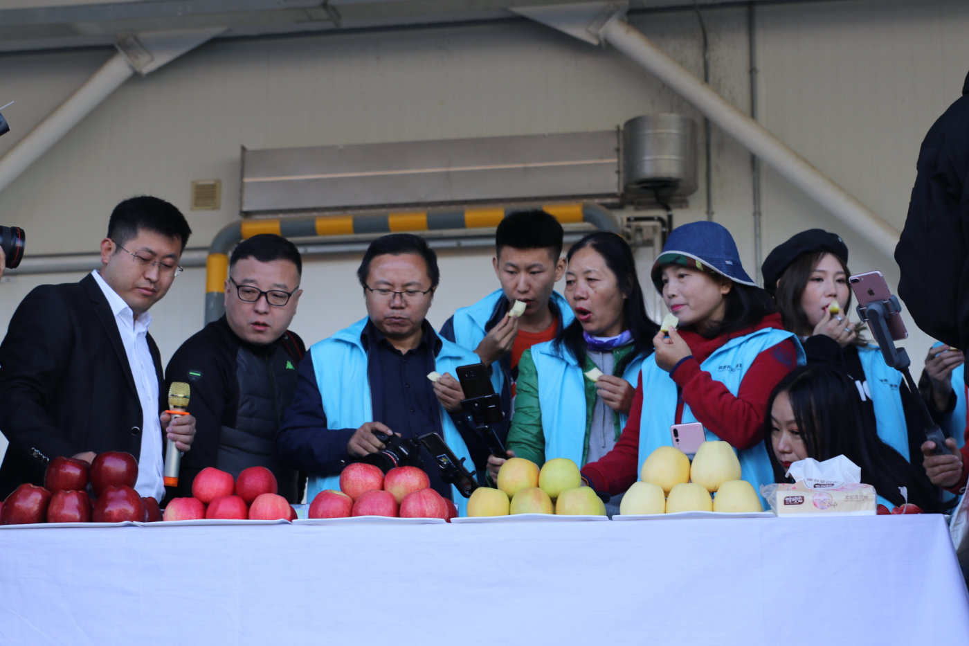 致富故事会苹果_致富经 苹果_致富经苹果新品种视频