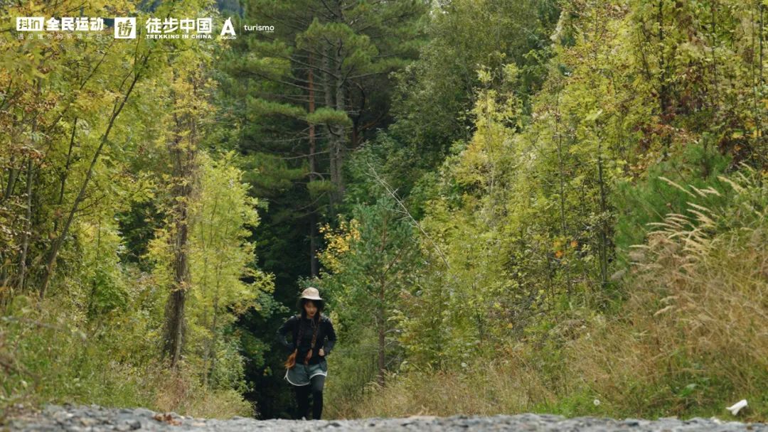 抖音旅游优质博主经验_抖音知名旅游博主排行榜_旅游博主抖音简介怎么写