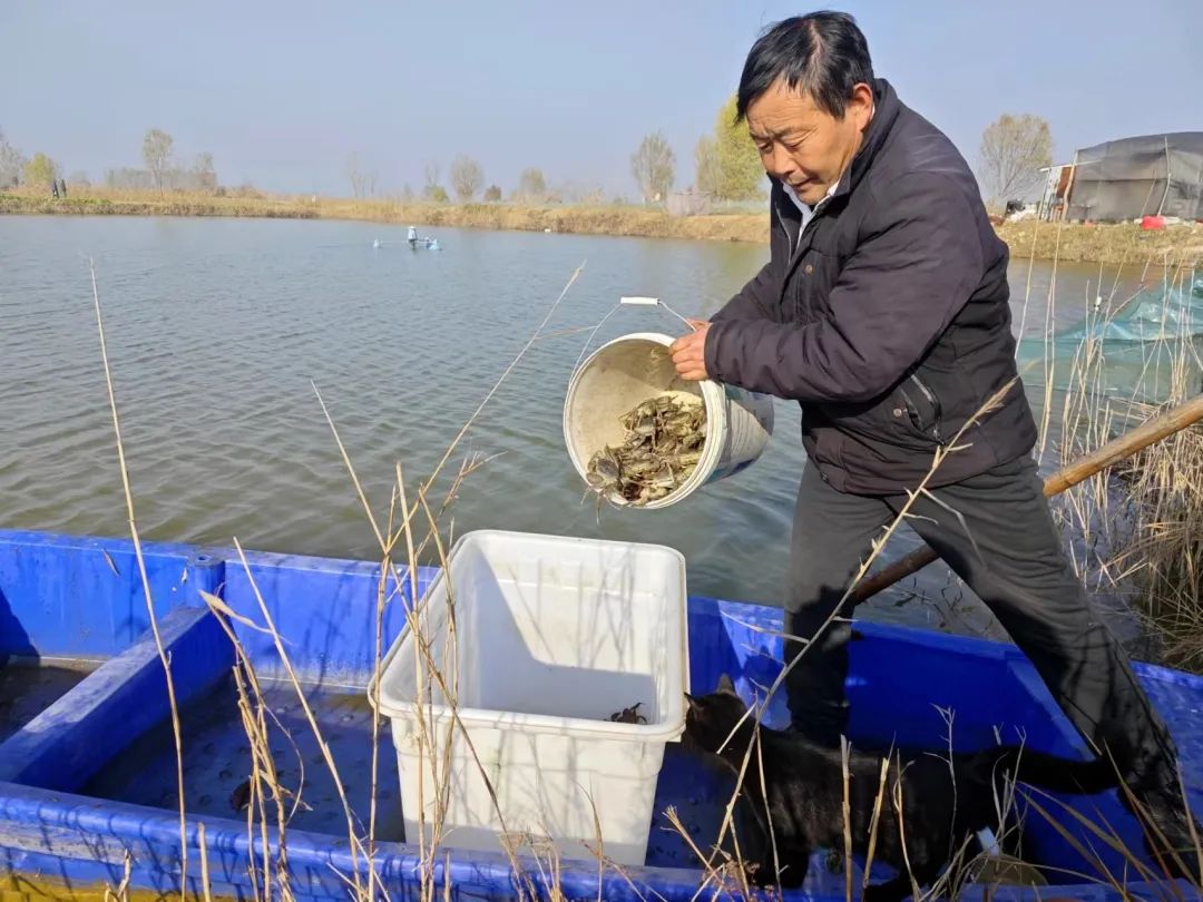 江苏水产养殖面积排名_江苏水产养殖致富_江苏水产养殖场