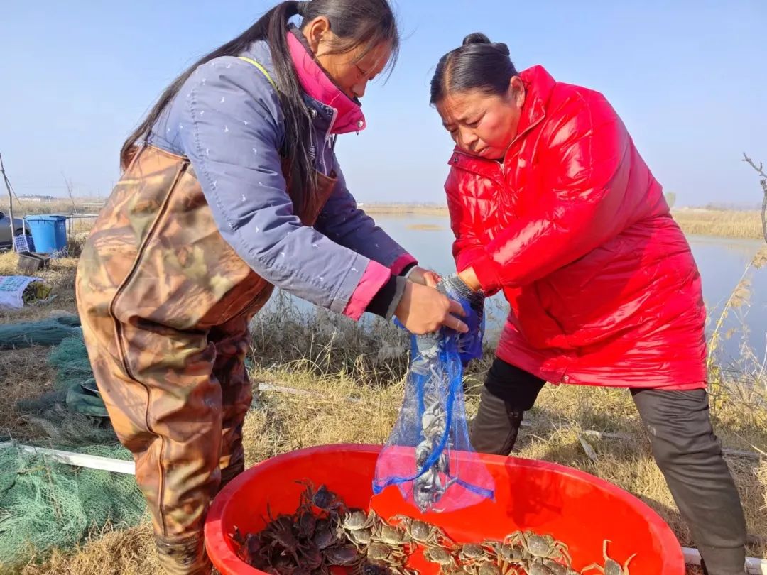 江苏水产养殖面积排名_江苏水产养殖场_江苏水产养殖致富