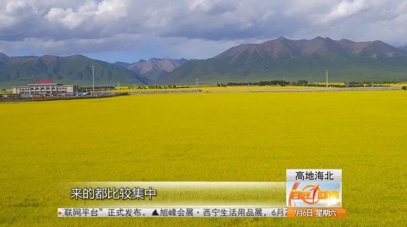 致富鸳鸯养殖故事视频_鸳鸯养殖致富故事_致富鸳鸯养殖故事简介