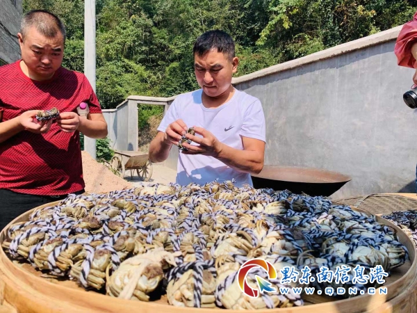 阳澄湖基地_阳澄湖农庄_致富经阳澄湖