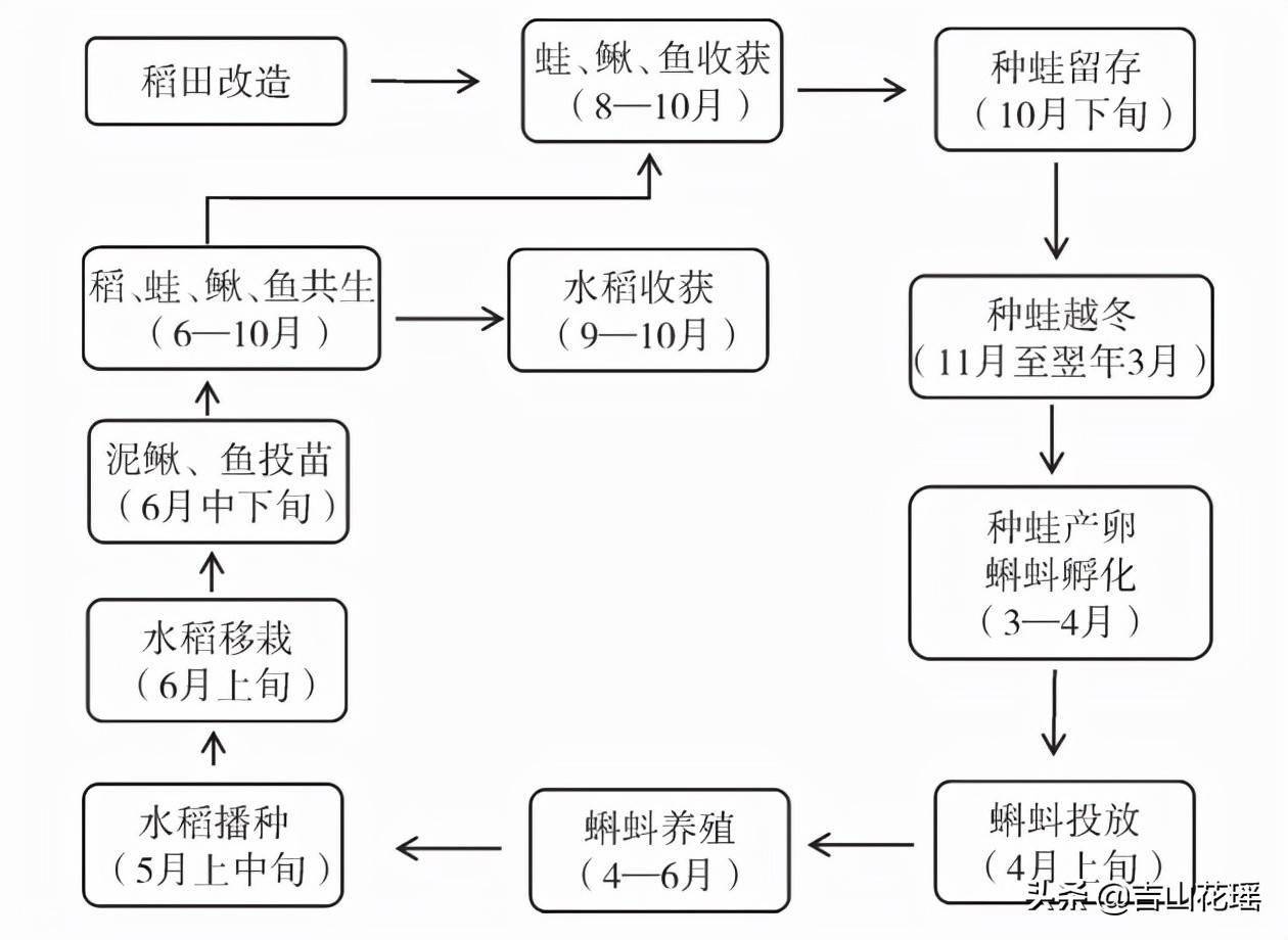 青蛙养殖财经致富视频_青蛙养殖财经致富视频_青蛙养殖财经致富视频