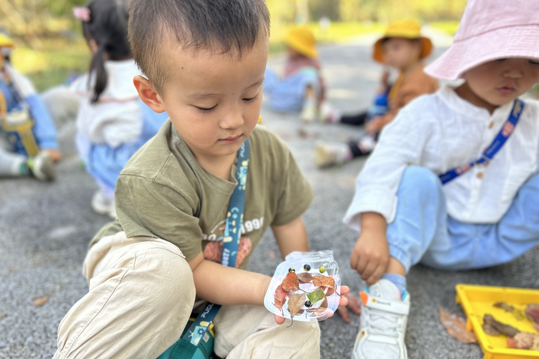 优质幼儿园的成功经验_幼儿园办园经验分享_幼儿园优质办学经验