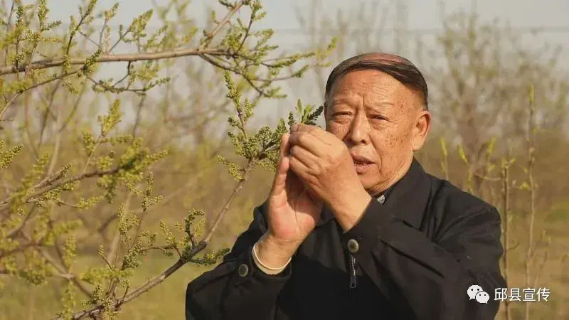 山上干叶子的致富经_山上干叶子的致富经_山上干叶子的致富经