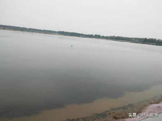 螃蟹养殖视频教程_螃蟹视频养殖技术大全_养殖大螃蟹技术视频
