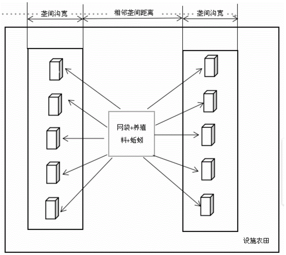 一种设施大棚中蚯蚓工厂化的养殖方法与流程