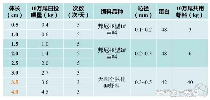 白对虾前期养殖关键技术大揭秘