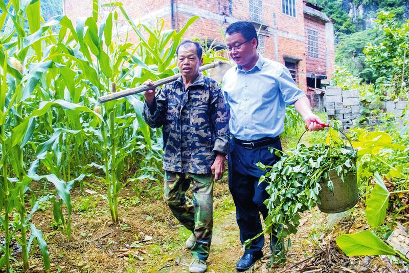 cctv7甘蔗种植视频致富经_致富经甘蔗种植视频_视频致富甘蔗种植cctv7