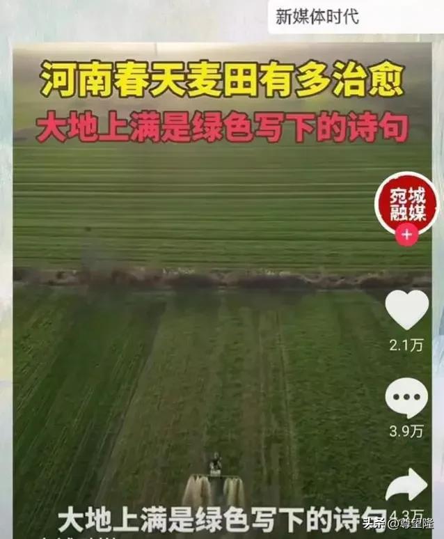 俺是种地的，也来说说河南治愈的麦田