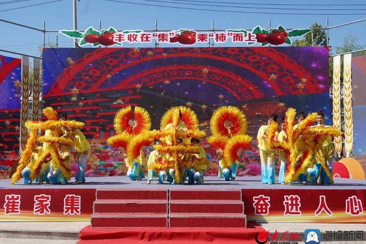 山东西红柿种植基地_临沂西红柿种植致富_山东西红柿种植