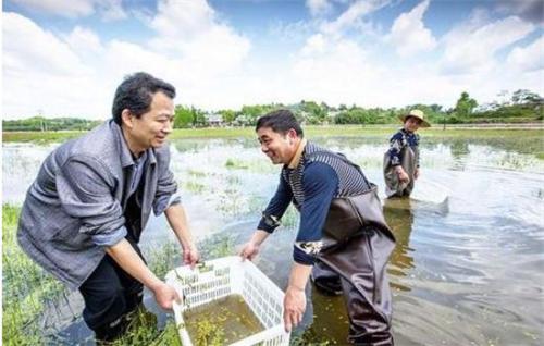 冬季小龙虾养殖技术_龙虾养殖冬季技术小结怎么写_龙虾养殖冬季技术小知识