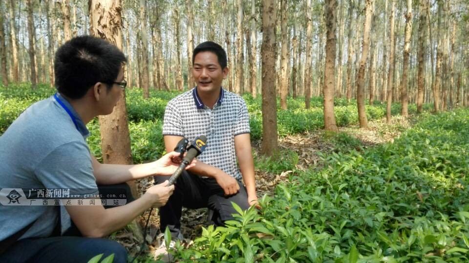 瓜种植时间和方法_种瓜种植致富项目_瓜类种植技术