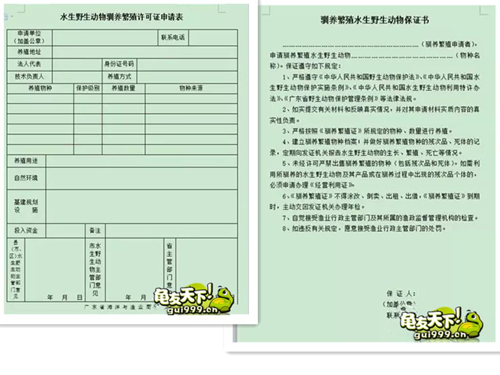 养殖致富违法吗_致富养殖业_养殖致富案例