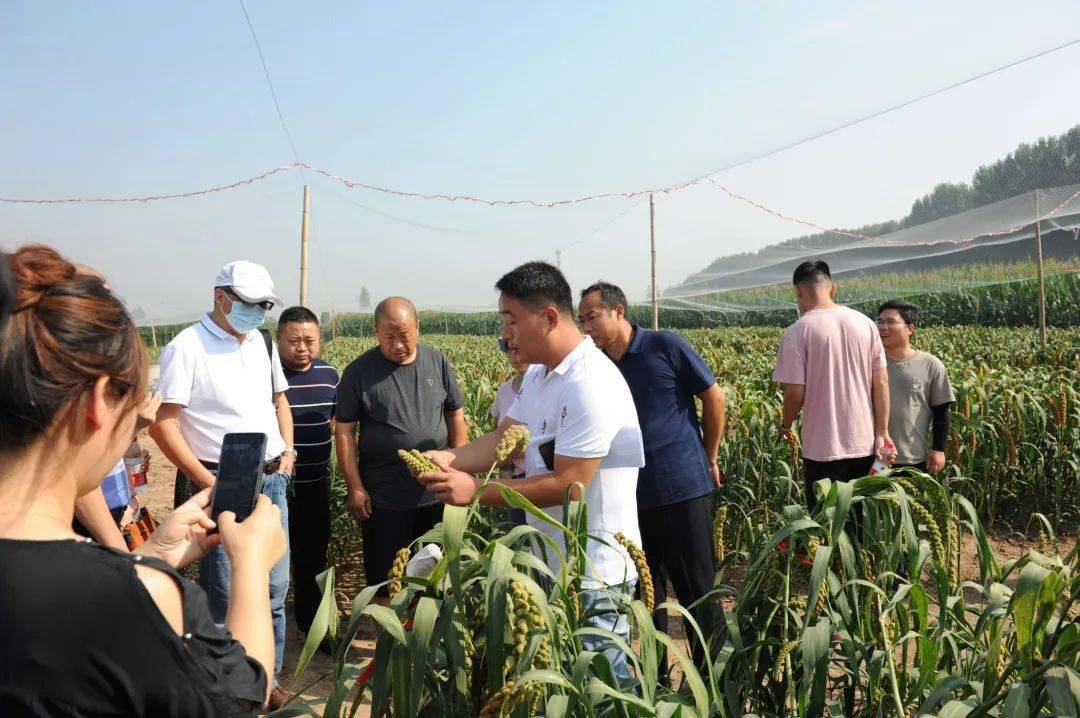 农村致富新项目种植业_致富种植农民特色农产品_农民特色种植致富