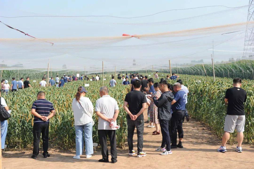 农村致富新项目种植业_农民特色种植致富_致富种植农民特色农产品