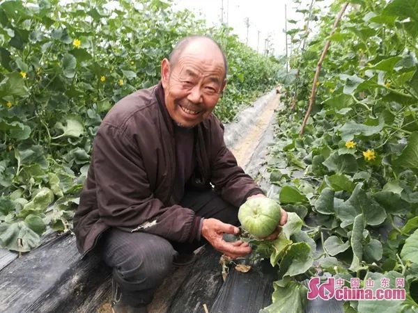 致富种植农民特色农作物_农村致富新项目种植业_农民特色种植致富