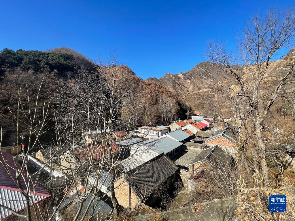 乡村振兴|河北宽城：山水间有一群中华蜜蜂守护人