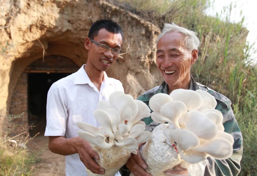 蘑菇致富有新招_致富经蘑菇大王_致富经种植蘑菇视频