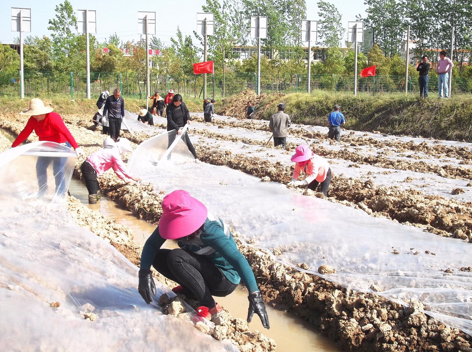 致富养殖绿色地龙好吗_养殖地龙有什么条件_绿色地龙养殖致富