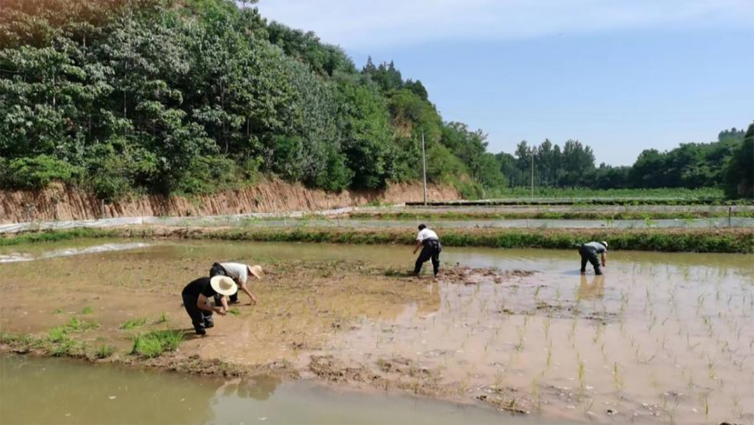 致富水域养殖项目招标_水域养殖致富项目_致富经水产养殖最好养的是什么