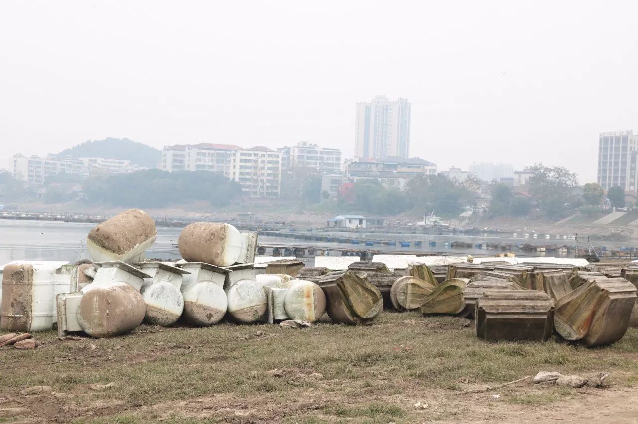 致富经水产养殖最好养的是什么_致富水域养殖项目招标_水域养殖致富项目